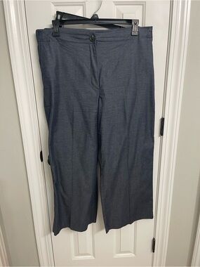 Ann Taylor Factory Denim-color blue Wide-Leg Pants